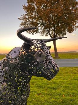 Preview: Stier TORRO mit aufrechtem Kopf lebensgroß aus Metall